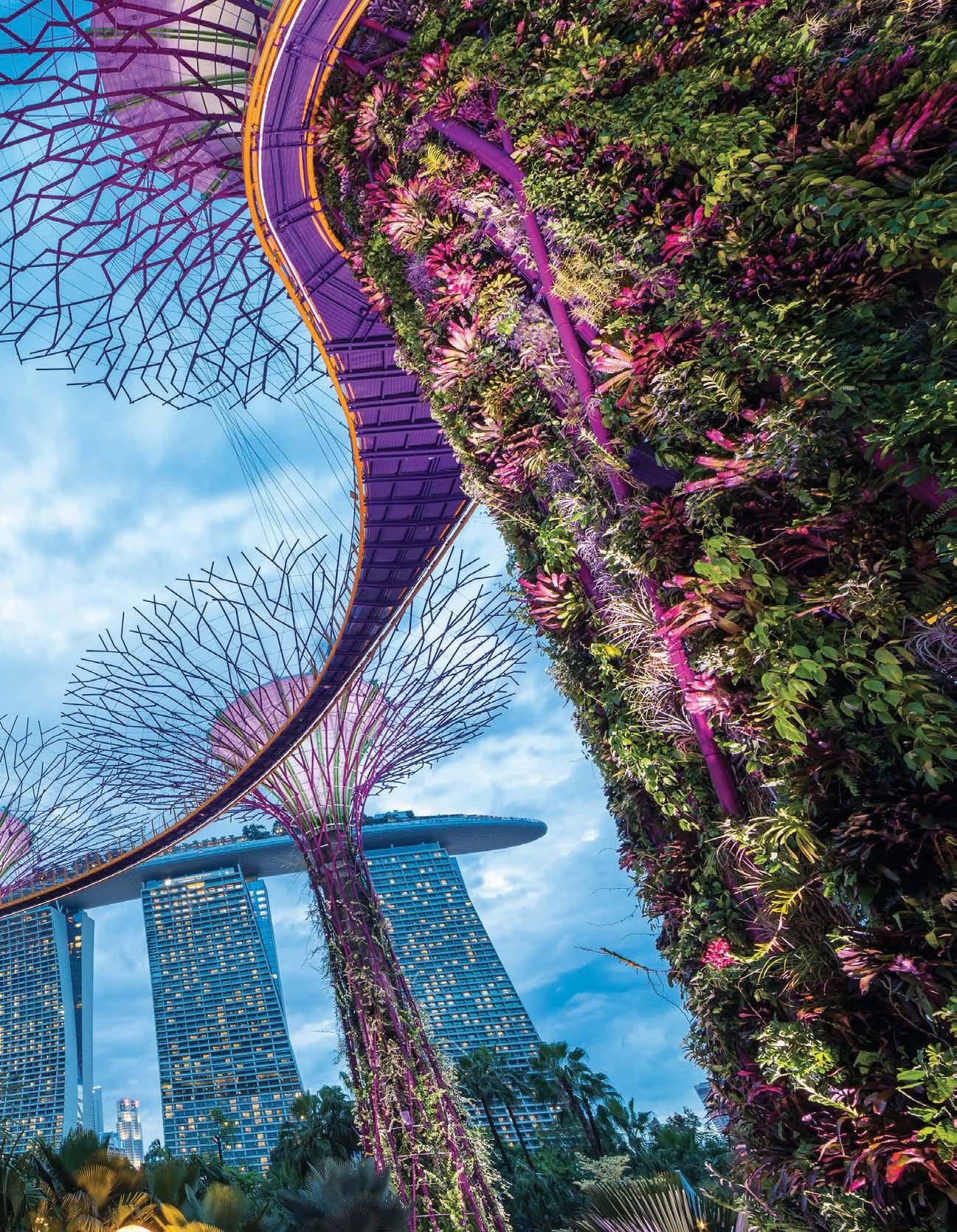 THE MAGIC OF SINGAPORE - Issuu