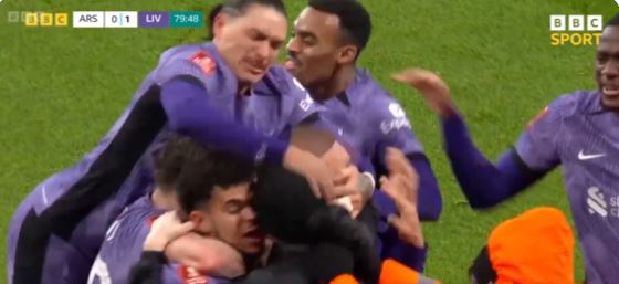 Darwin Nunez whacked the uninvited guest on the head during the goal celebrations