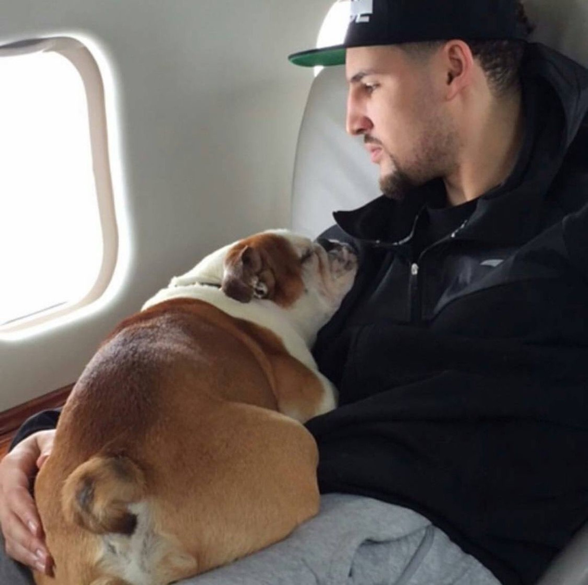 From as Obvious as His Dog Rocco To as Bizarre as His Socks, Here Are 10  Essentials Klay Thompson Cant Live Without