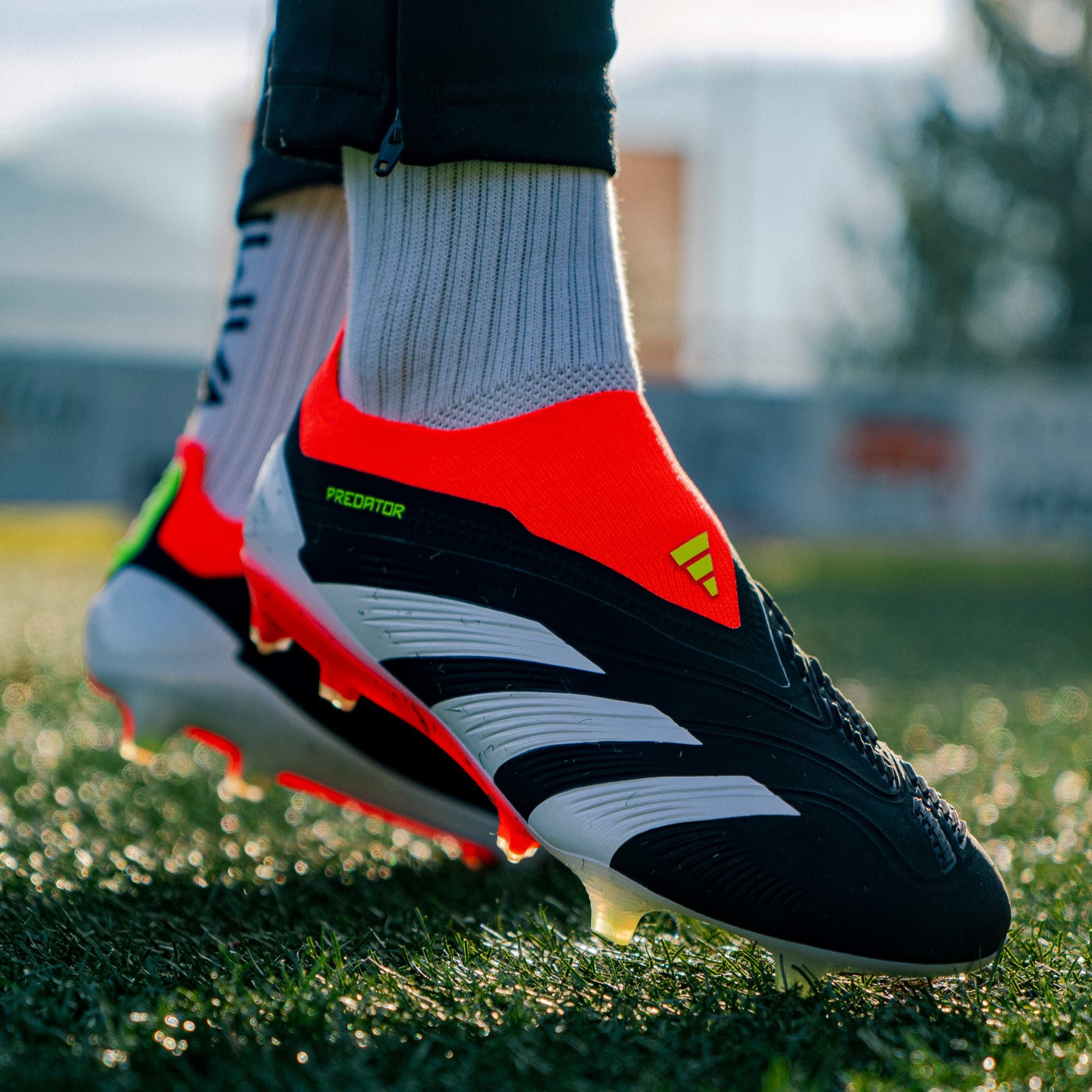 Jude Bellingham präsentiert Adidas Predator Launch Variante? - dein-fussballschuh