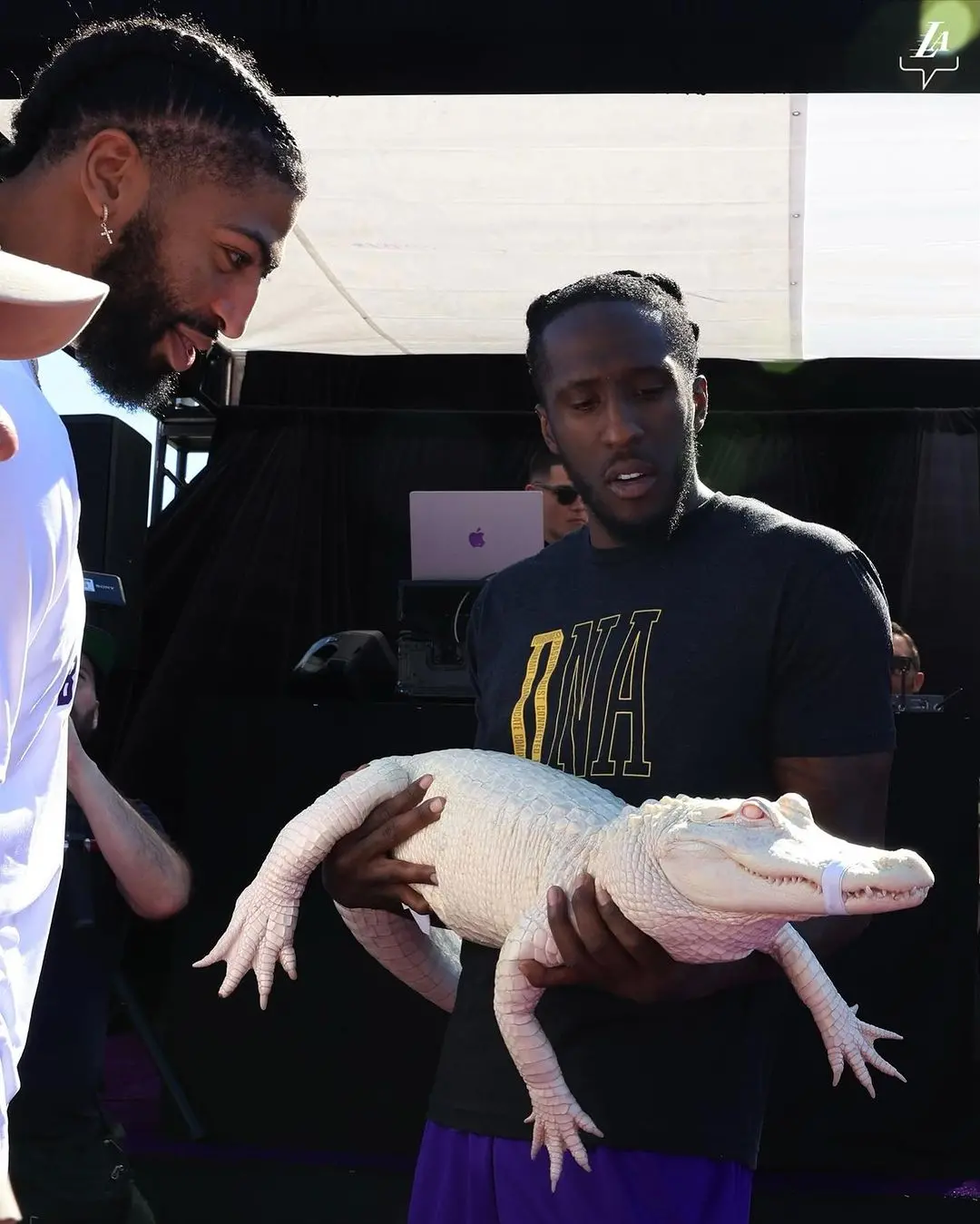 Lakers Family Picnic Day