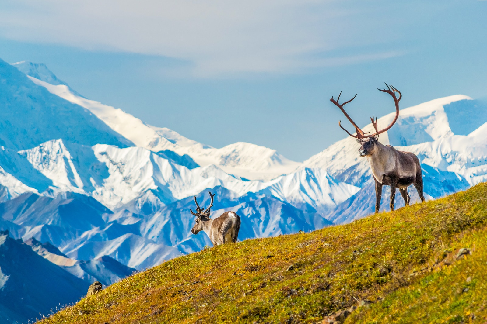 13 Best Natural Wonders in Alaska - Take a Road Trip Through Alaska – Go Guides