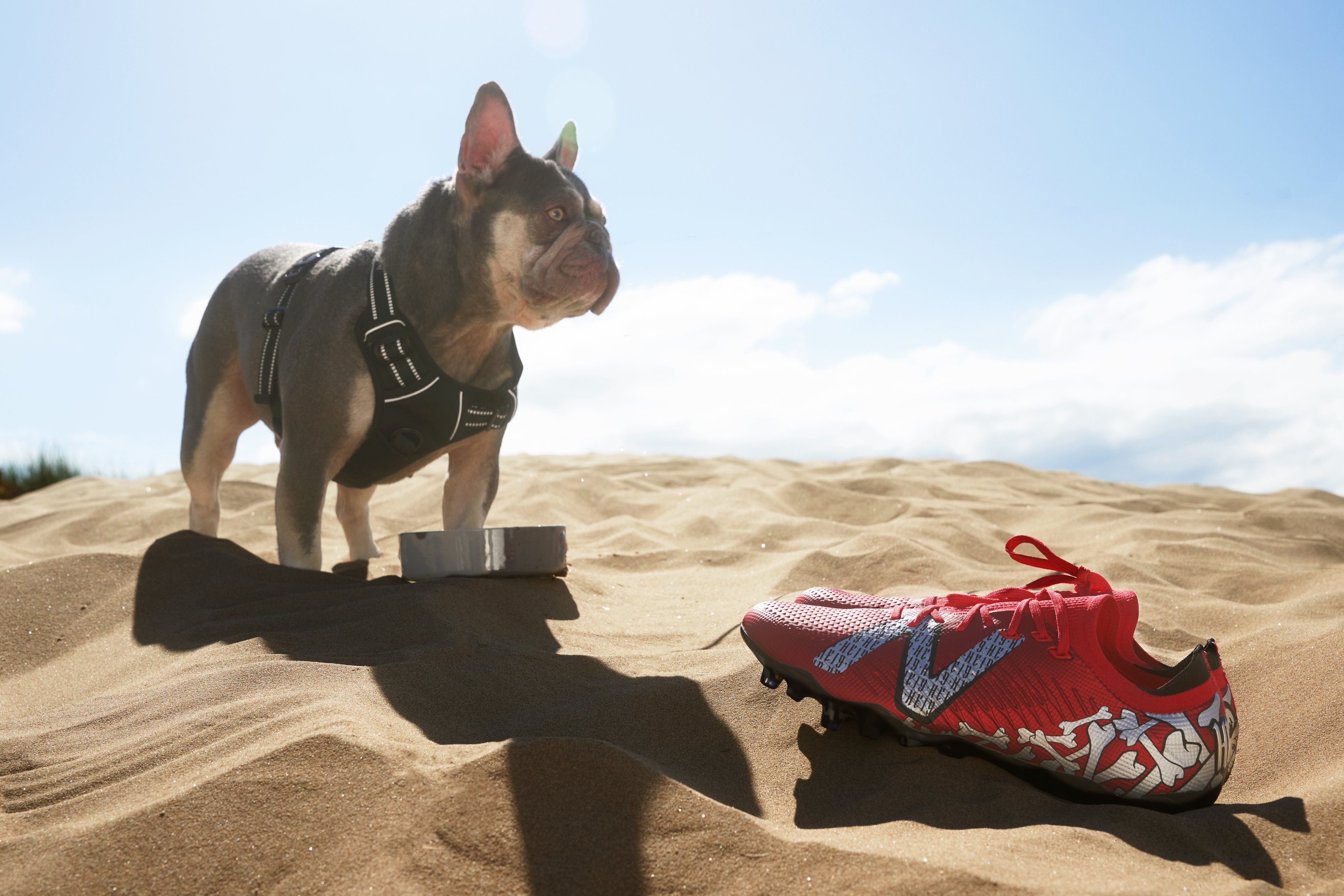 SoccerBible on X: " @NBFootball unveil a new signature edition boot for Harvey  Elliott, with the design of the Tekela V4 'Paisley' edition taking the  Liverpool midfielder's strong connection with his dog,