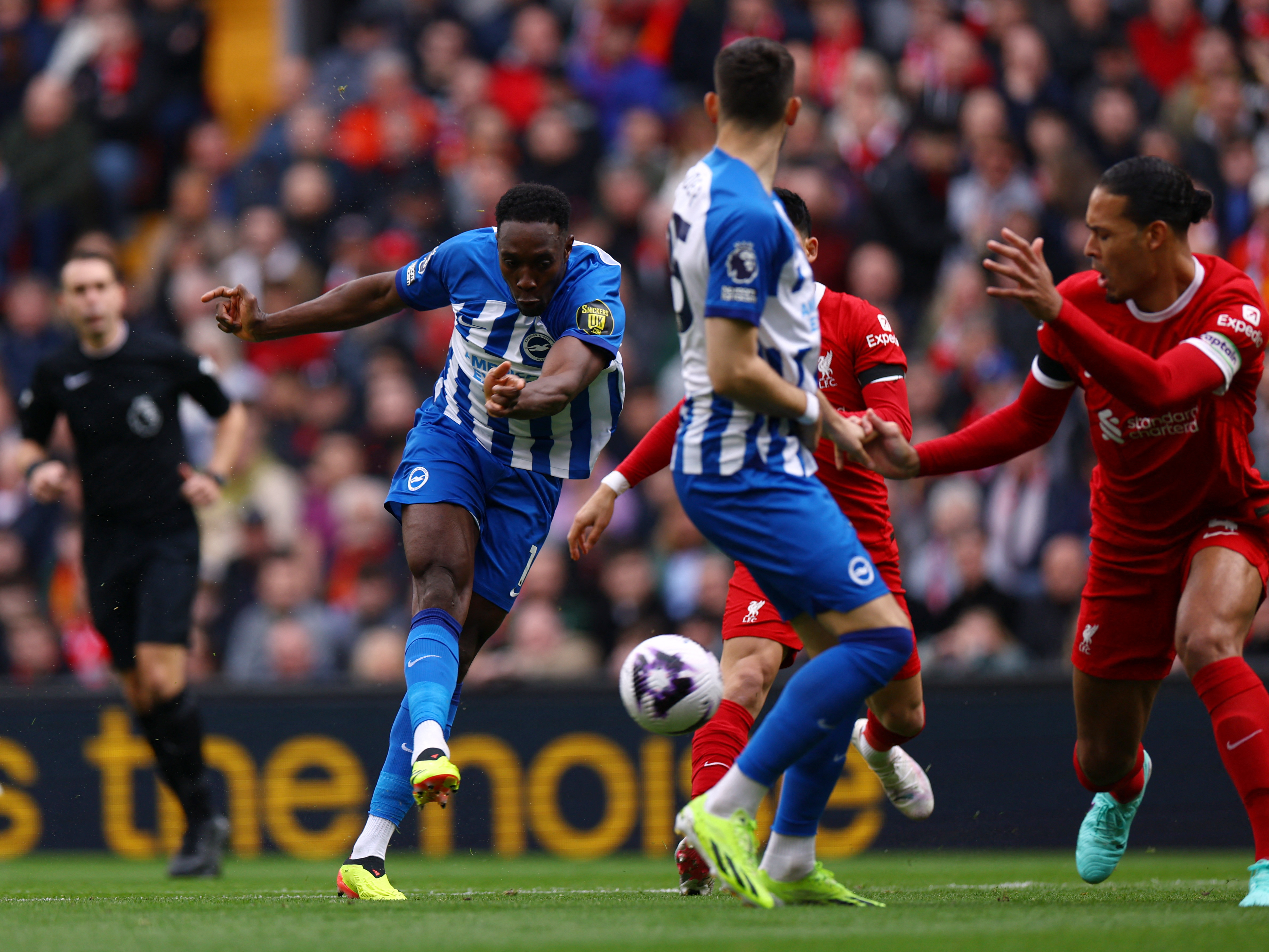 Danny Welbeck fired Brighton into the lead