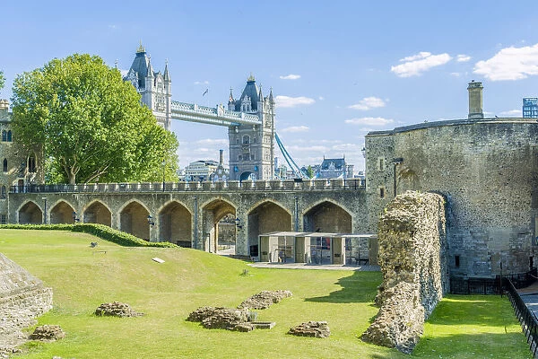 Tower bridge from the Tower of London For sale as Framed Prints, Photos,  Wall Art and Photo Gifts