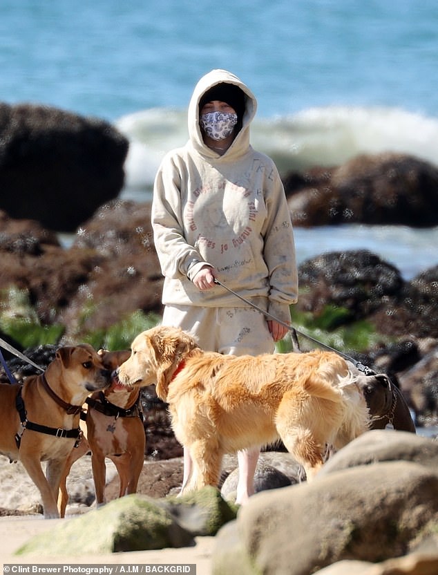 Mutt and greet: Billie tucked her signature fluorescent green roots underneath a black knit beanie and hood and donned a facemask when she was near others as her dogs made friends