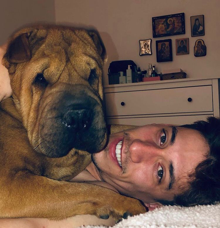 Footballers with animals on X: "Kostas Tsimikas being pinned by his dog https://t.co/cmpIpSlCTG" / X