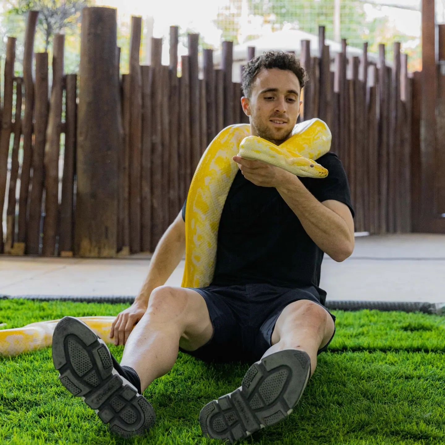 Jota risked it all by wrapping an enormous snake around his neck