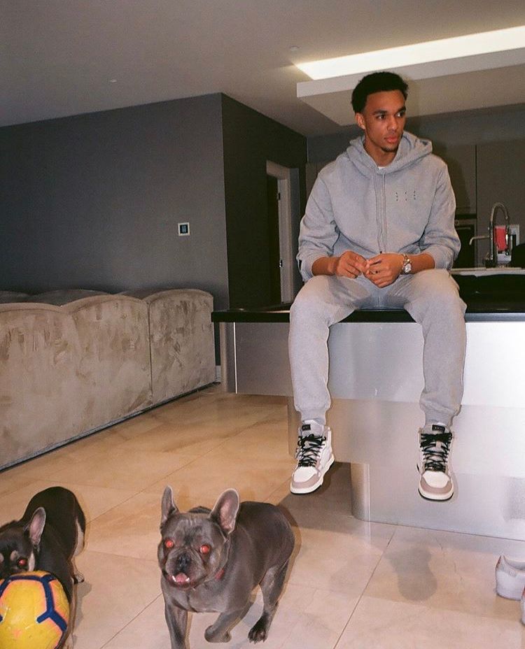 Footballers with animals on X: "Trent Alexander-Arnold and his possessed dogs https://t.co/qCZRK0ArCi" / X