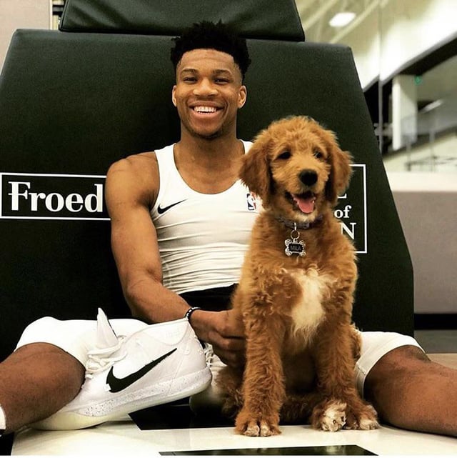 NBA star Giannis Antetokounmpo and his puppy, Mila : r/Ladybonersgonecuddly