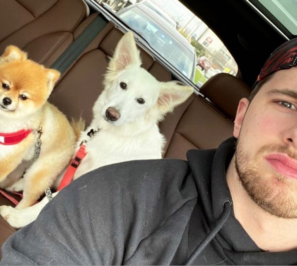 Luka Dončić | Luka dončić, Corgi, Animals