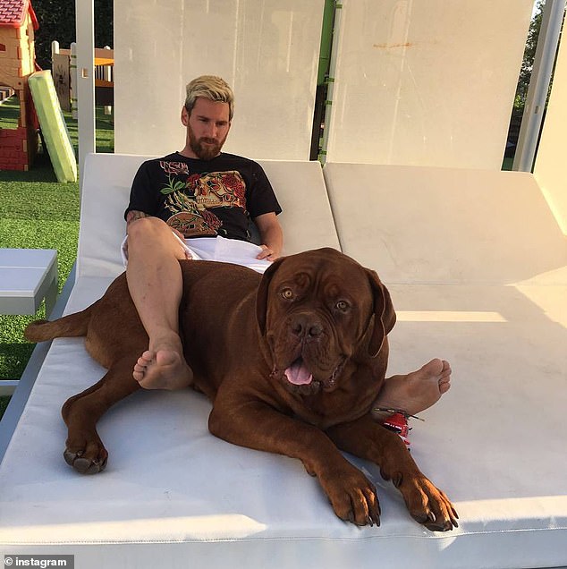 Lionel Messi opens up about the painful decision he and his wife Antonela made to leave their pet dog Hulk behind when they moved to Miami