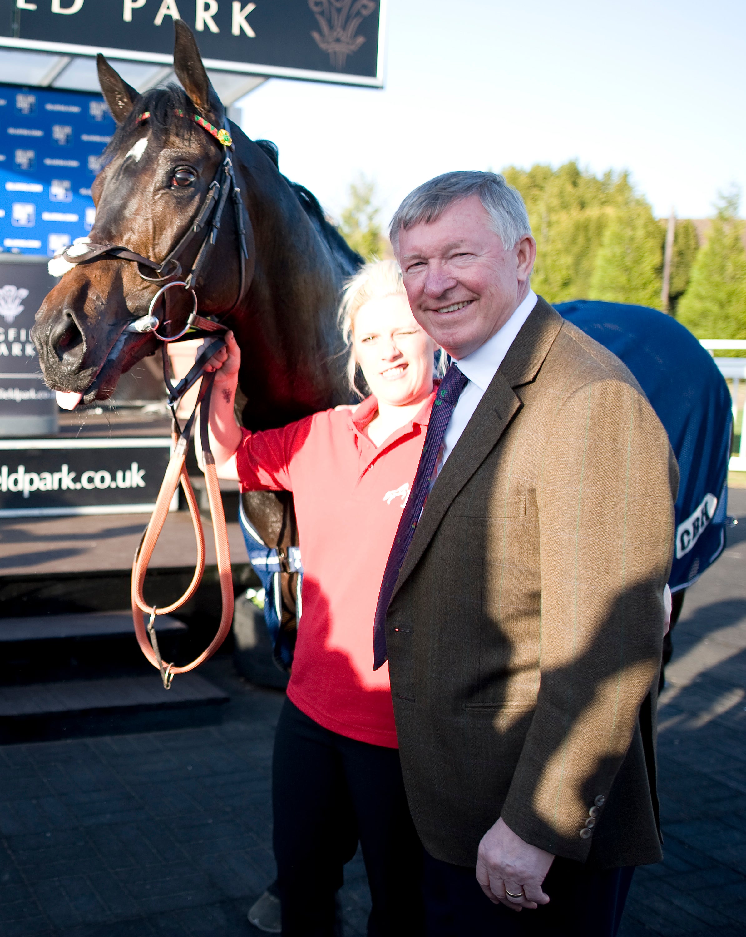 Which horses does Sir Alex Ferguson own and when will they race at Cheltenham? | The Independent